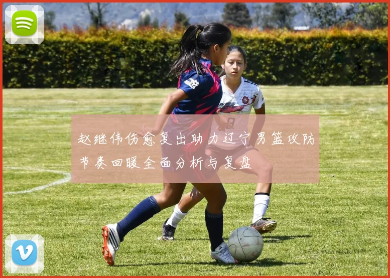 赵继伟伤愈复出助力辽宁男篮攻防节奏回暖全面分析与复盘