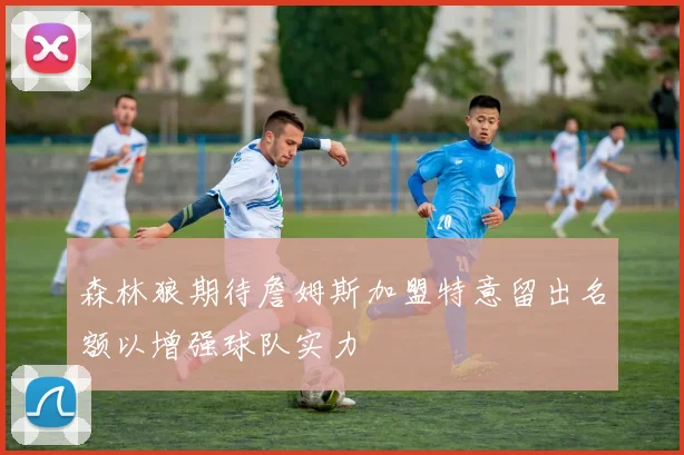 森林狼期待詹姆斯加盟特意留出名额以增强球队实力