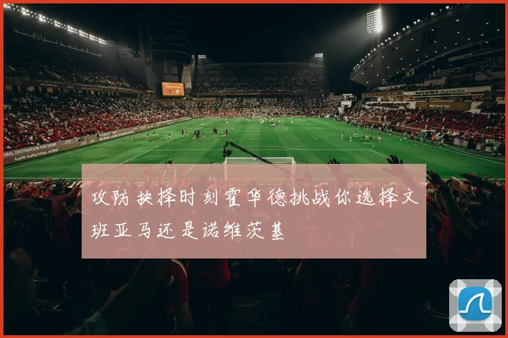 攻防抉择时刻霍华德挑战你选择文班亚马还是诺维茨基