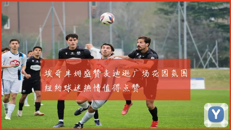 埃奇库姆盛赞麦迪逊广场花园氛围纽约球迷热情值得点赞