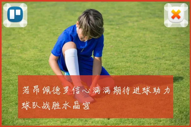 若昂佩德罗信心满满期待进球助力球队战胜水晶宫